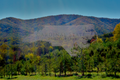 Apple Orchard in Greeneville TN