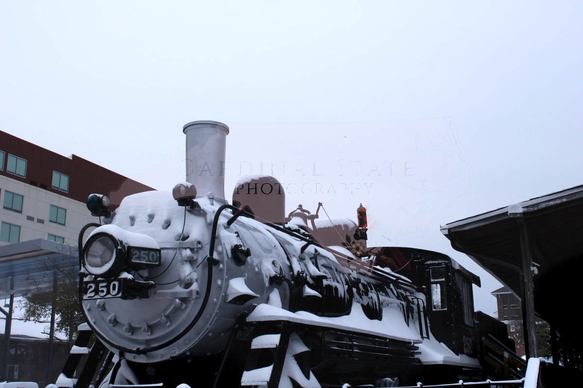 Choo Choo Snow