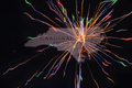 Crayon Combustion