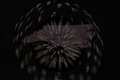 Discoball Mama Rainshower Firework
