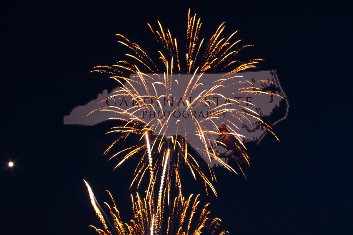 Gold Fireworks Big