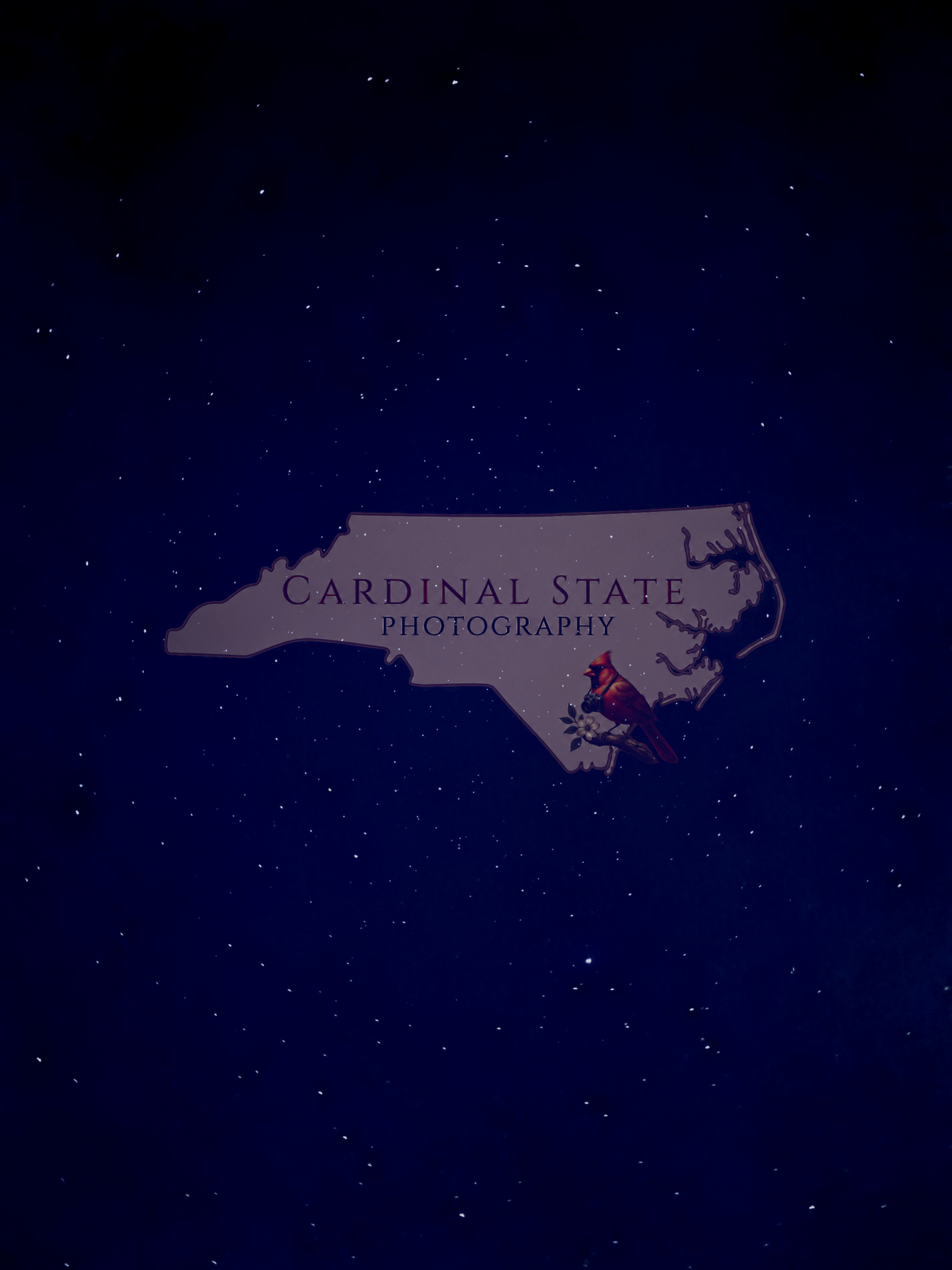 Marshall Stars