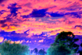 Purple Dimension