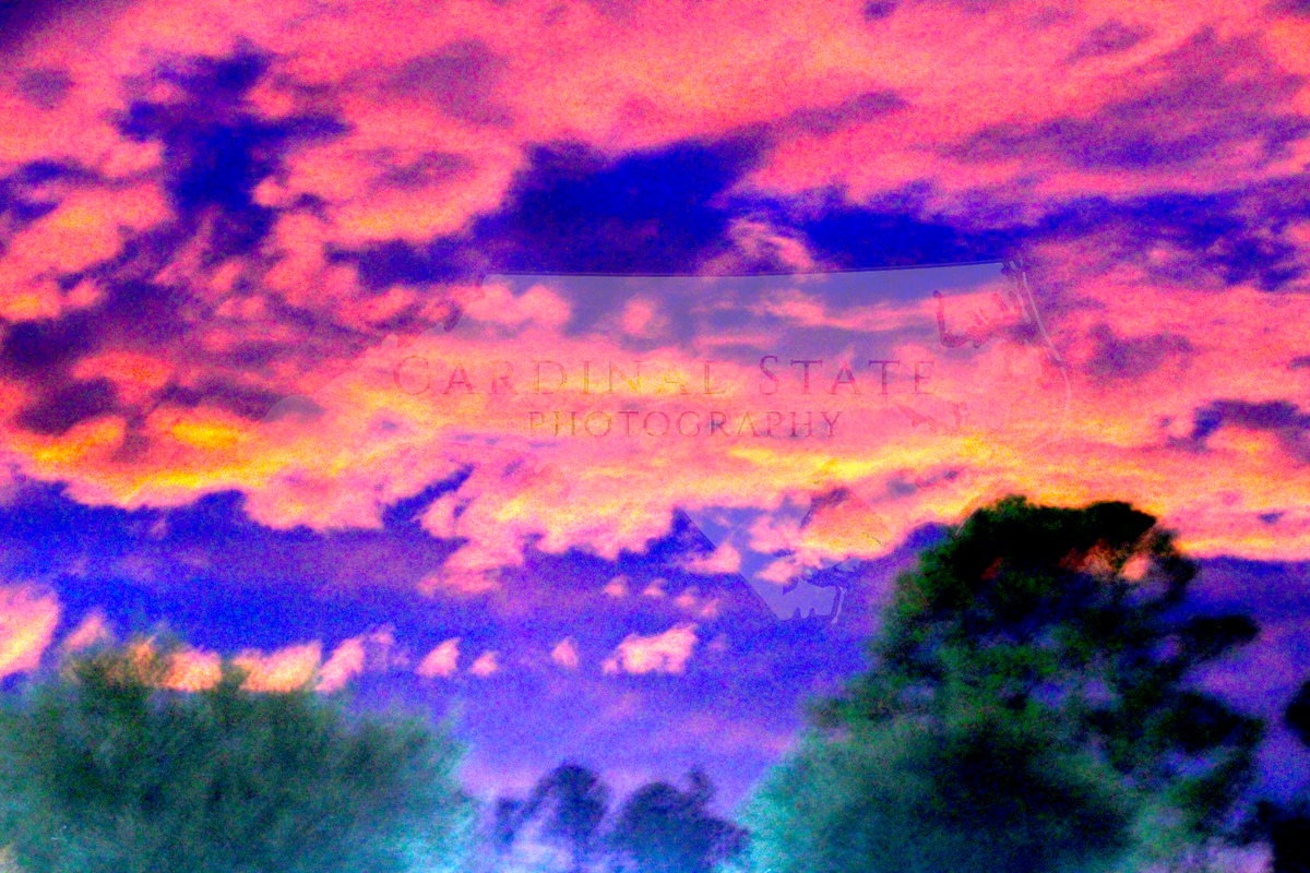 Purple Dimension