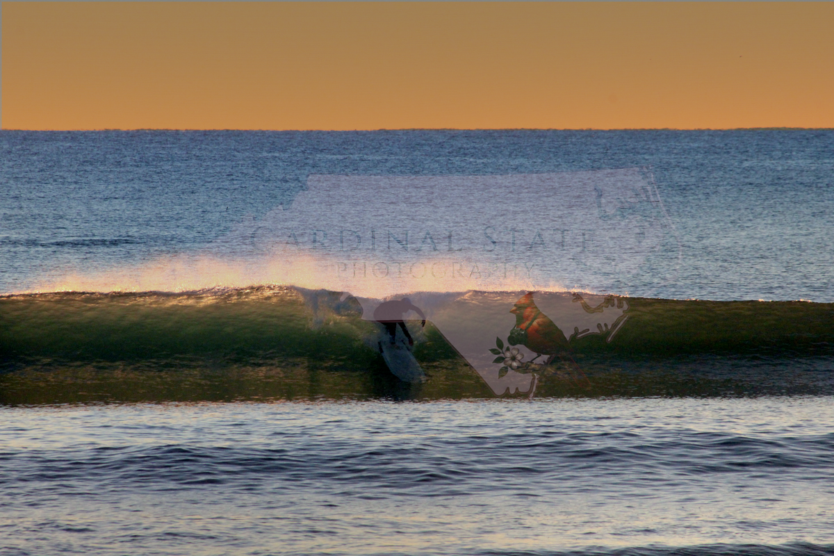 Shred All