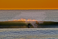 Surfer Dudes Say Woah