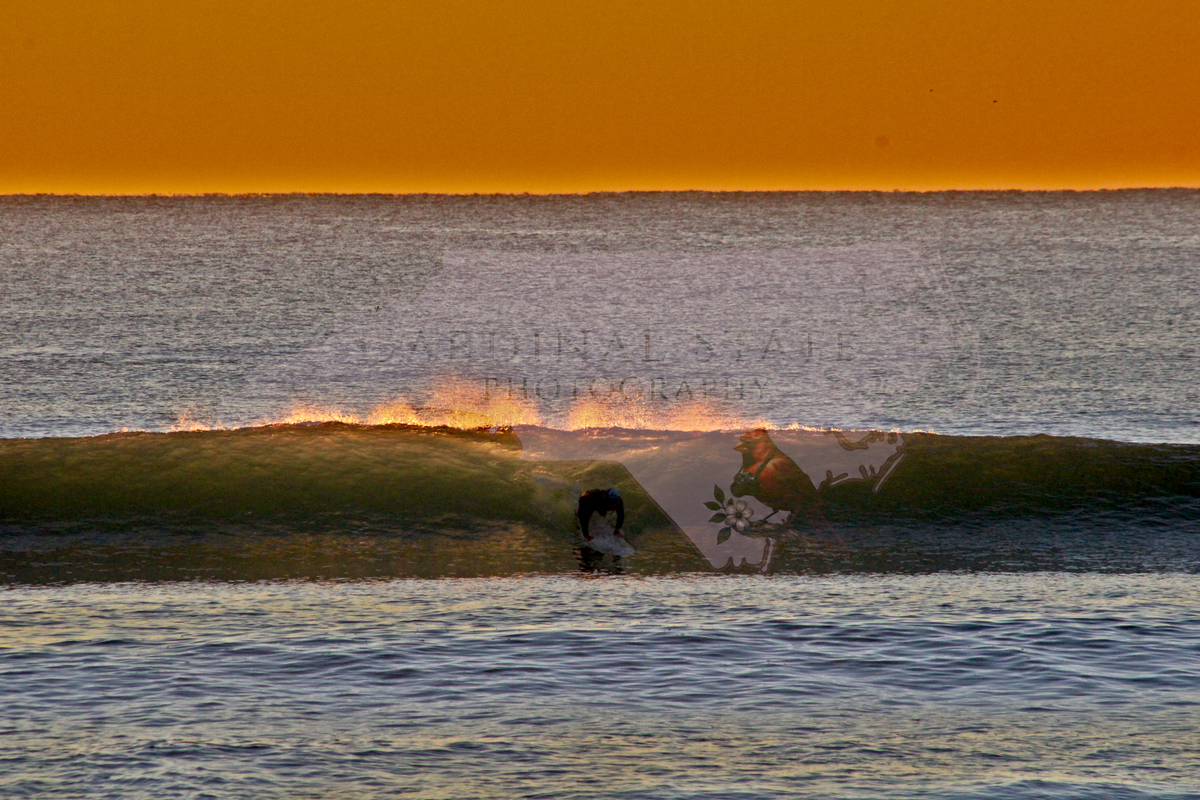 Surfer Dudes Say Woah