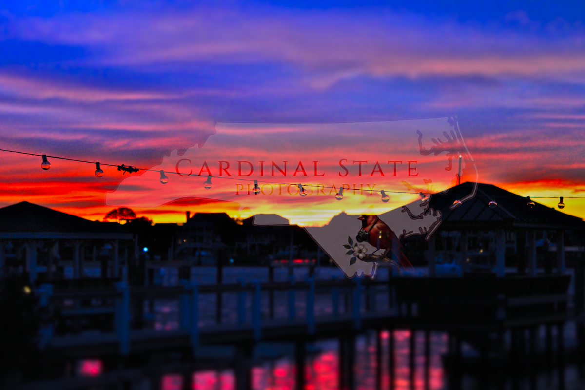 WB Sunset String Lights
